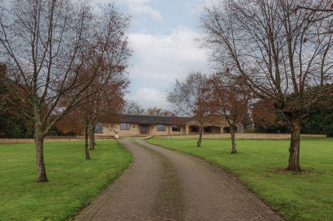 Blossom Hill