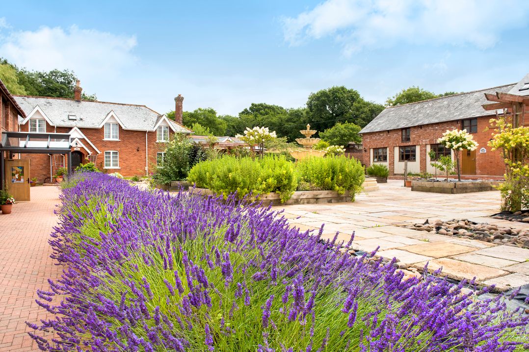 Oak Cottage
