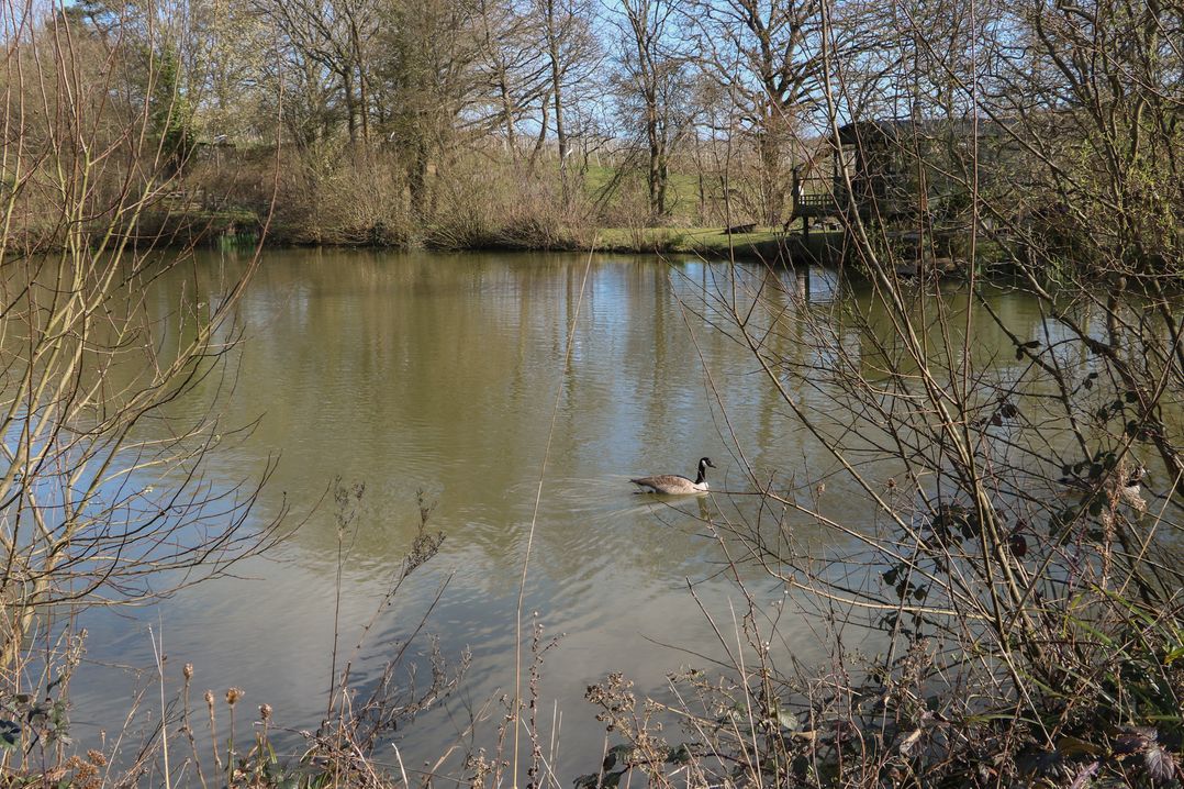 Tench Hut