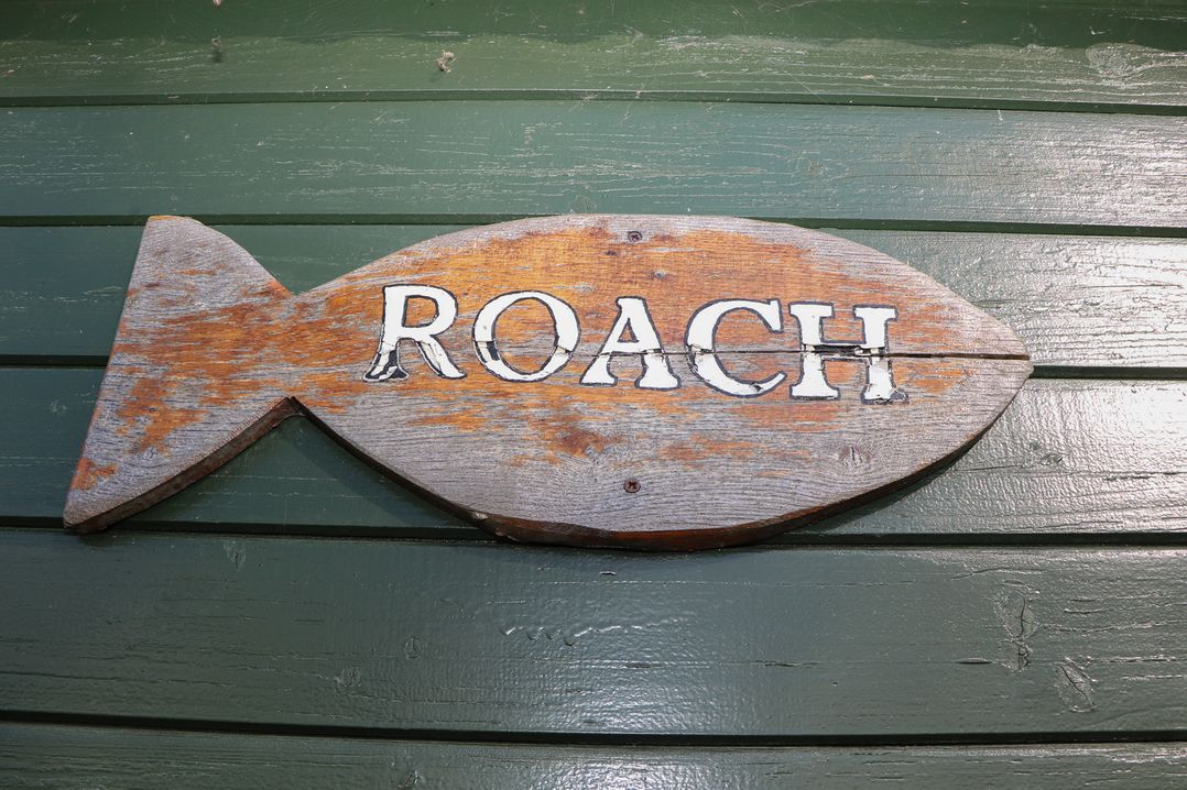 Roach Hut