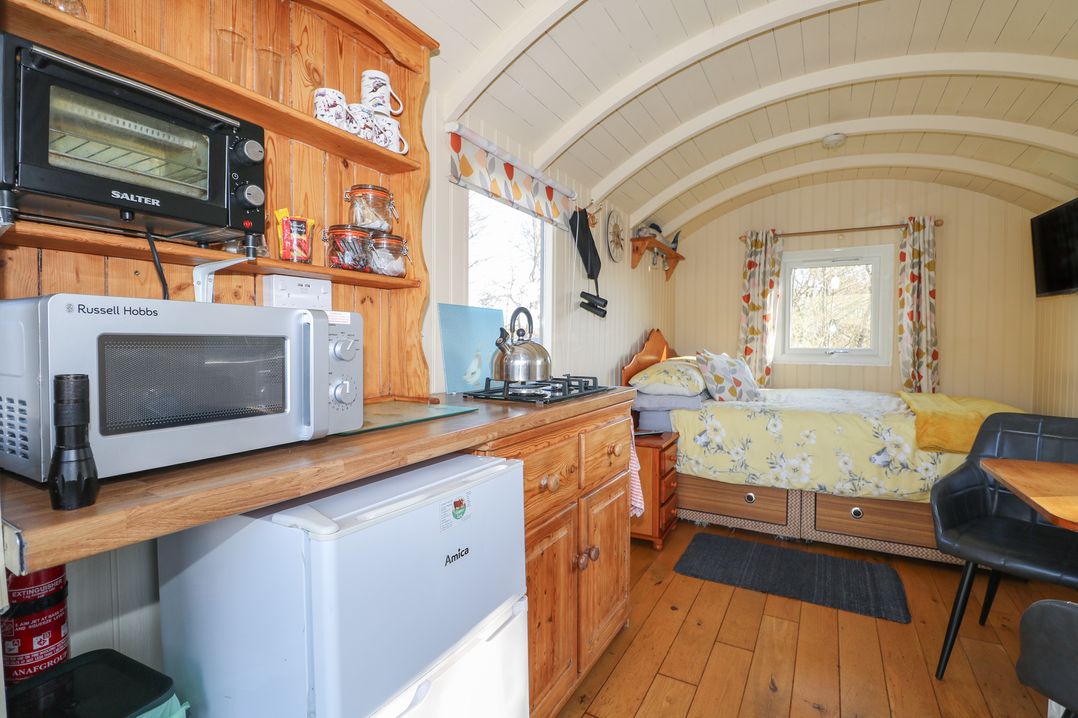Roach Hut