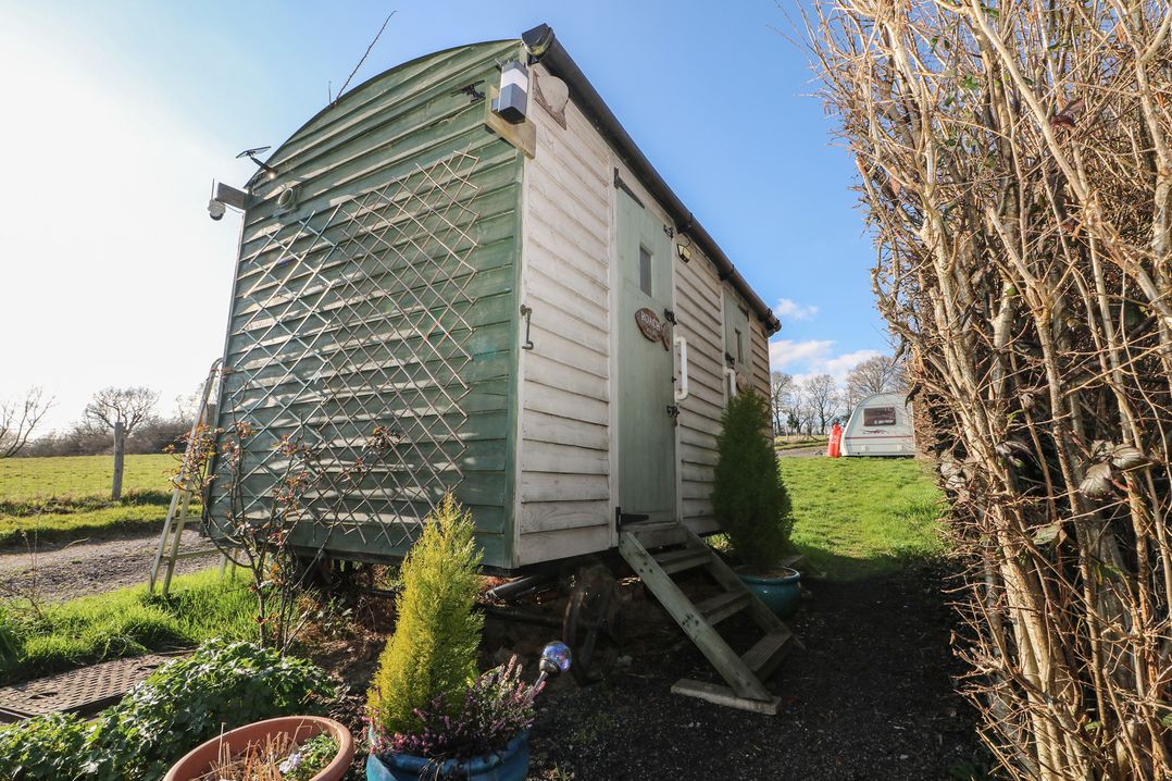 Roach Hut
