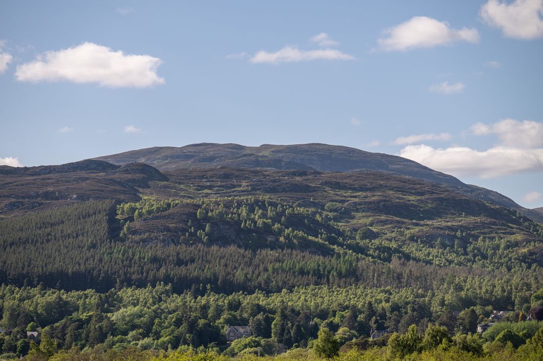 Old Distillery Lodge
