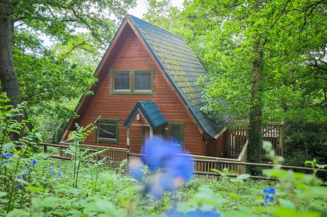 Lodge 68 - Fern Gully