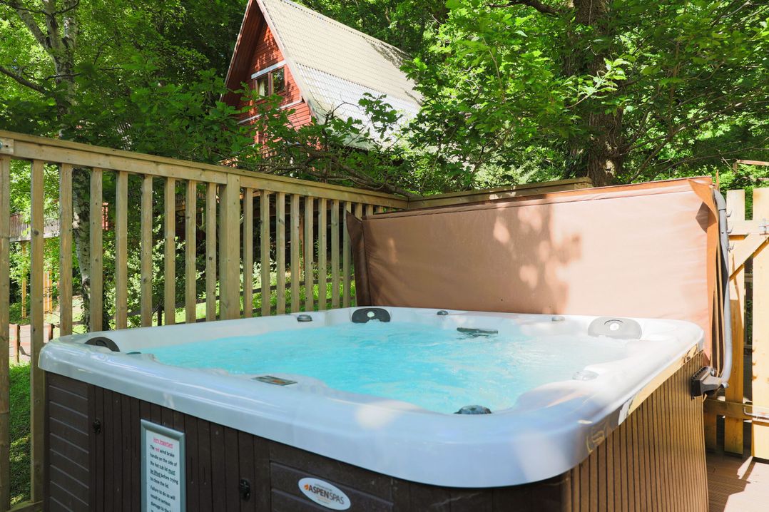 Lodge 68 - Fern Gully