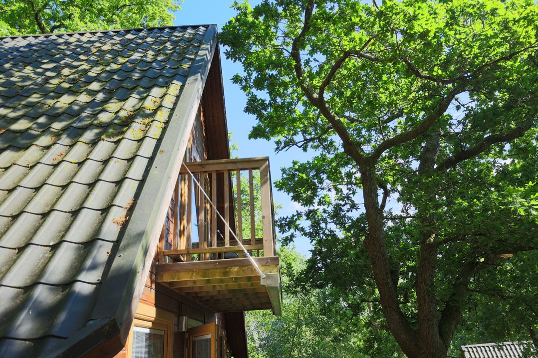 Lodge 68 - Fern Gully