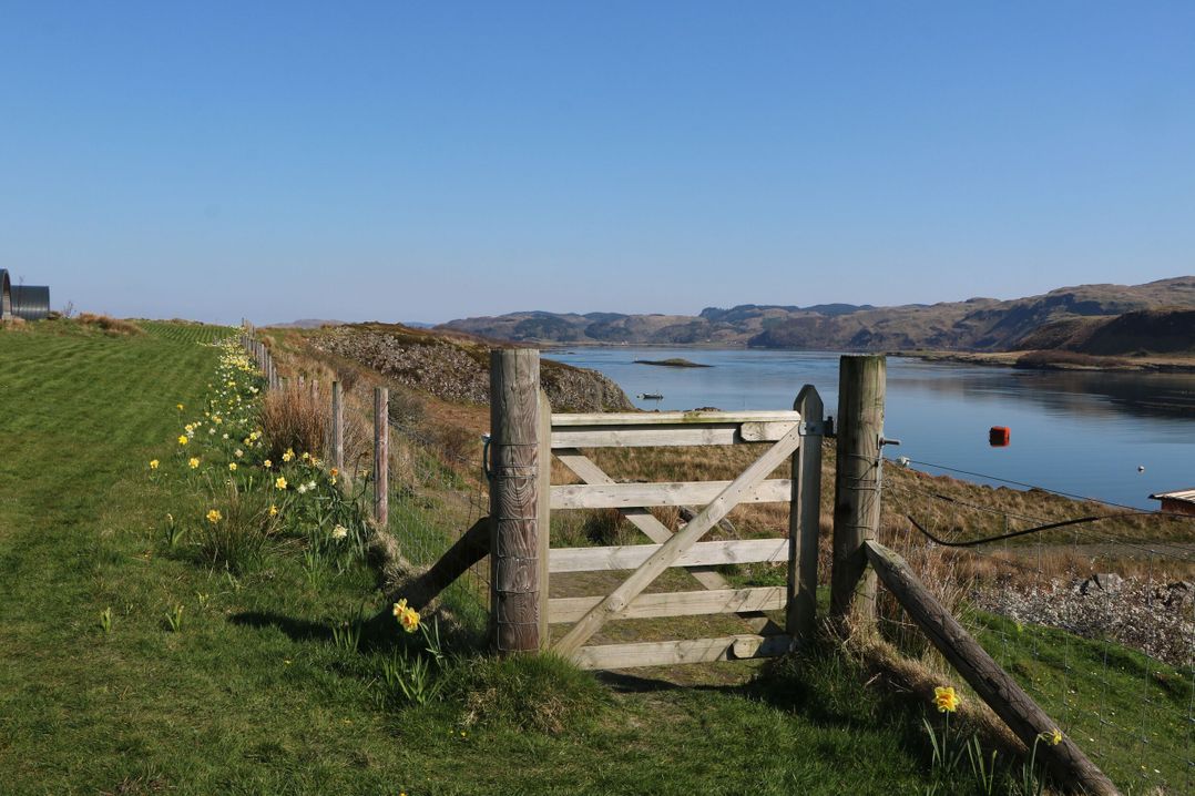 Fladda