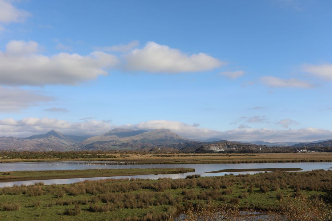 The Cottage On The Green