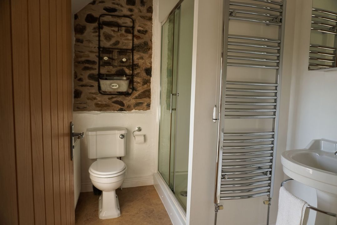 A bathroom with a toilet, shower, and sink at Rhianfa in Newborough