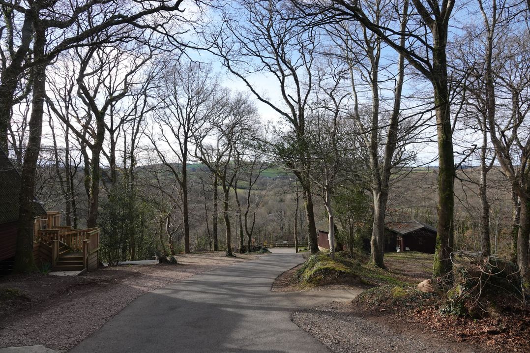 Acorn Lodge