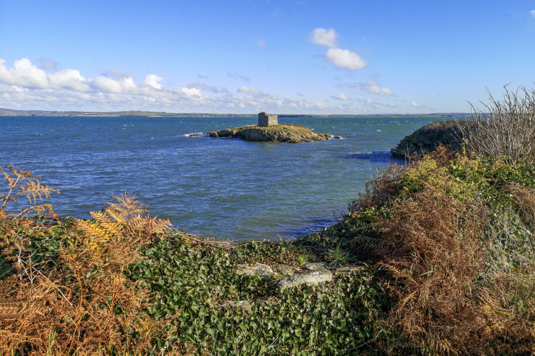Penrhos Walks