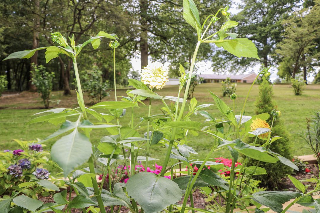 Charltons Hollow Cabin