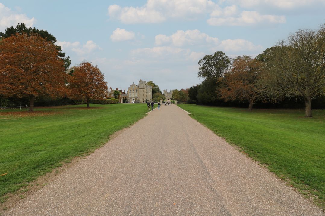 Castle View
