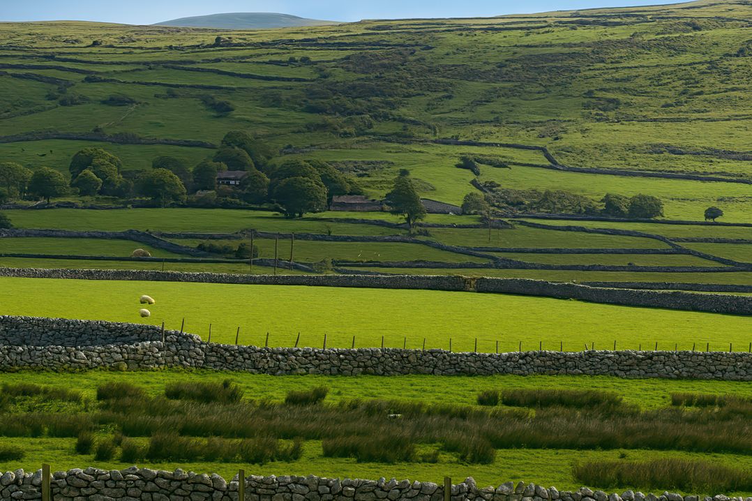 Lyons Sunnysands Holiday Park - Holiday Accommodation 13733