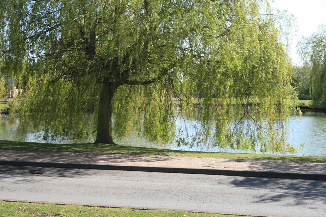 Southview Holiday Park 7251