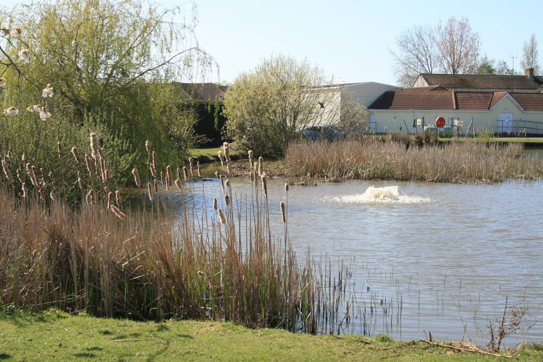 Southview Holiday Park 7251