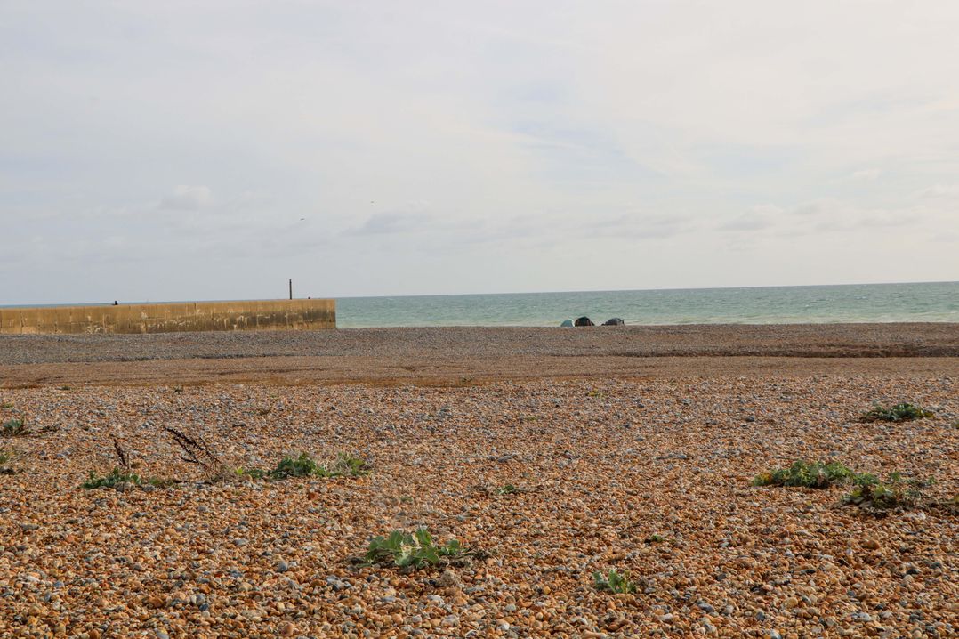 Harbour Way