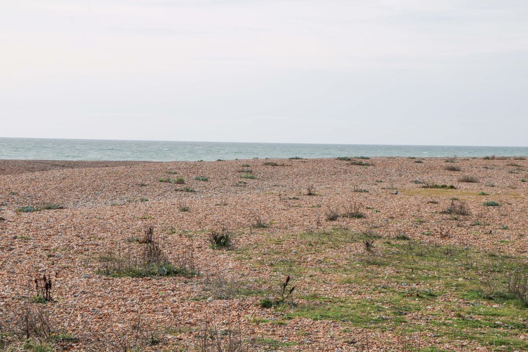 Harbour Way
