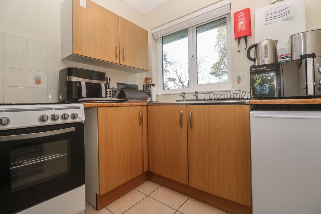 Little Egret - Number 2