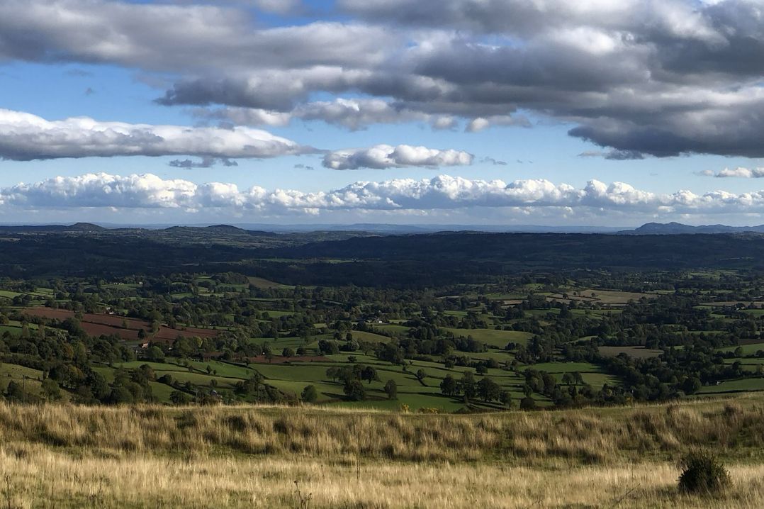 Bumble Bee at 2 Clematis Cottage