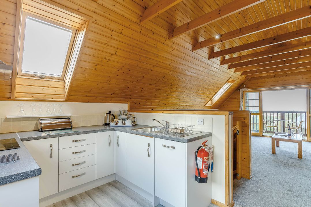 Scandinavian Lodge 6