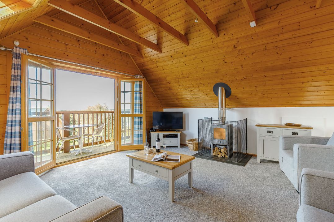 Scandinavian Hot Tub Lodge Pet