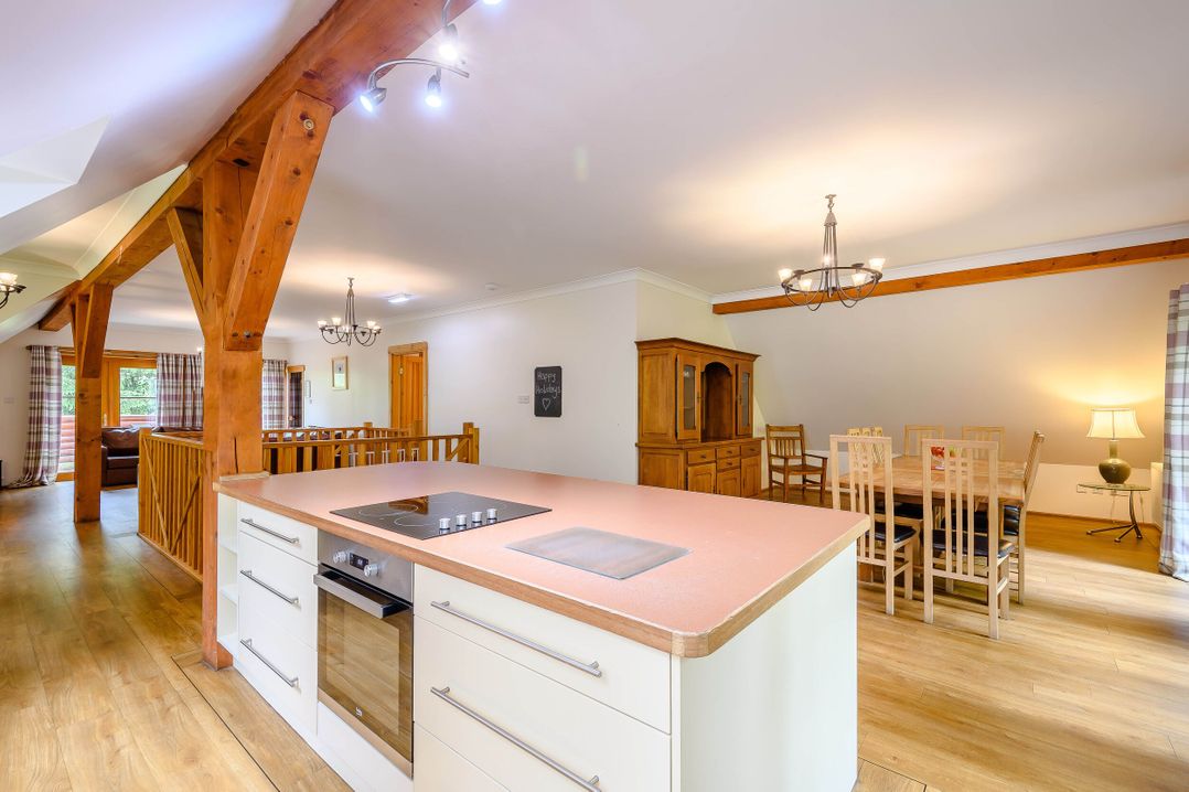 Eagle Spa Plus (Pet)