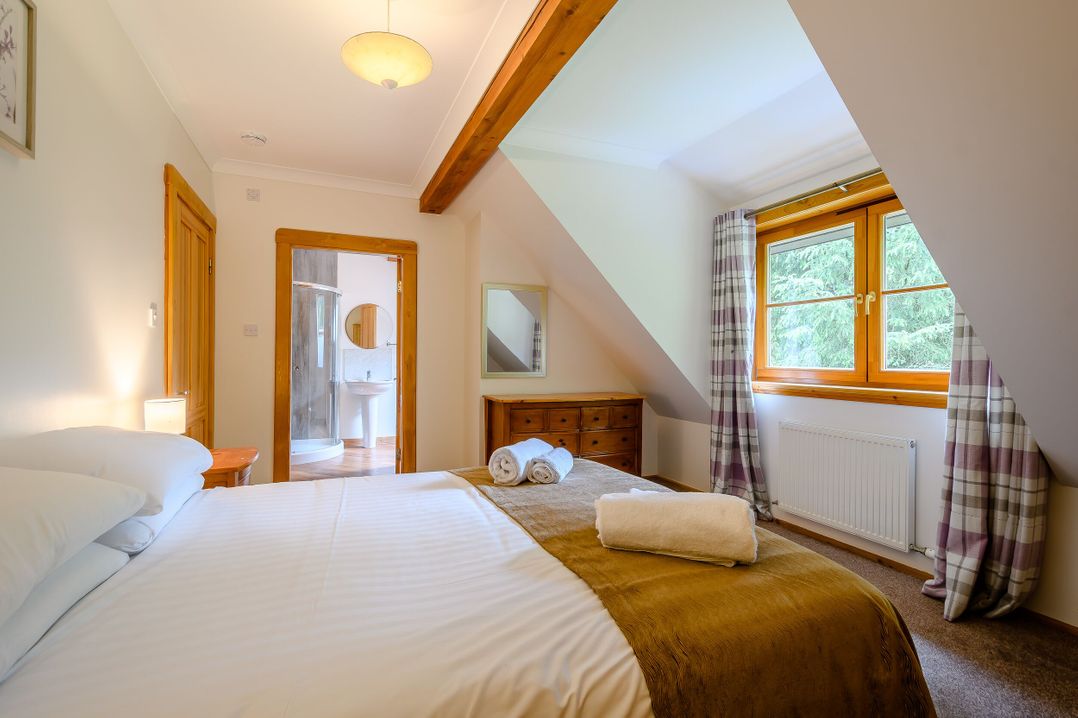 Eagle Spa Plus (Pet)