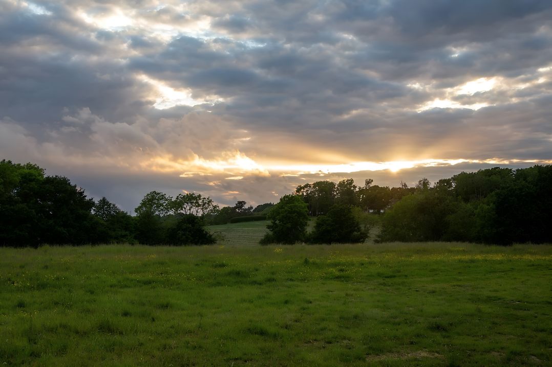 Badger - Luxury Glamping Retreat