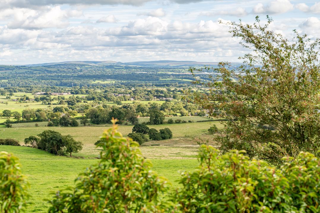 Pendle View