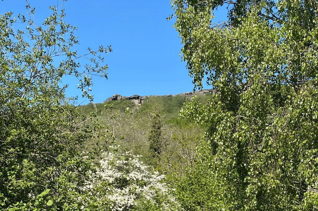 Hope Valley - Studio