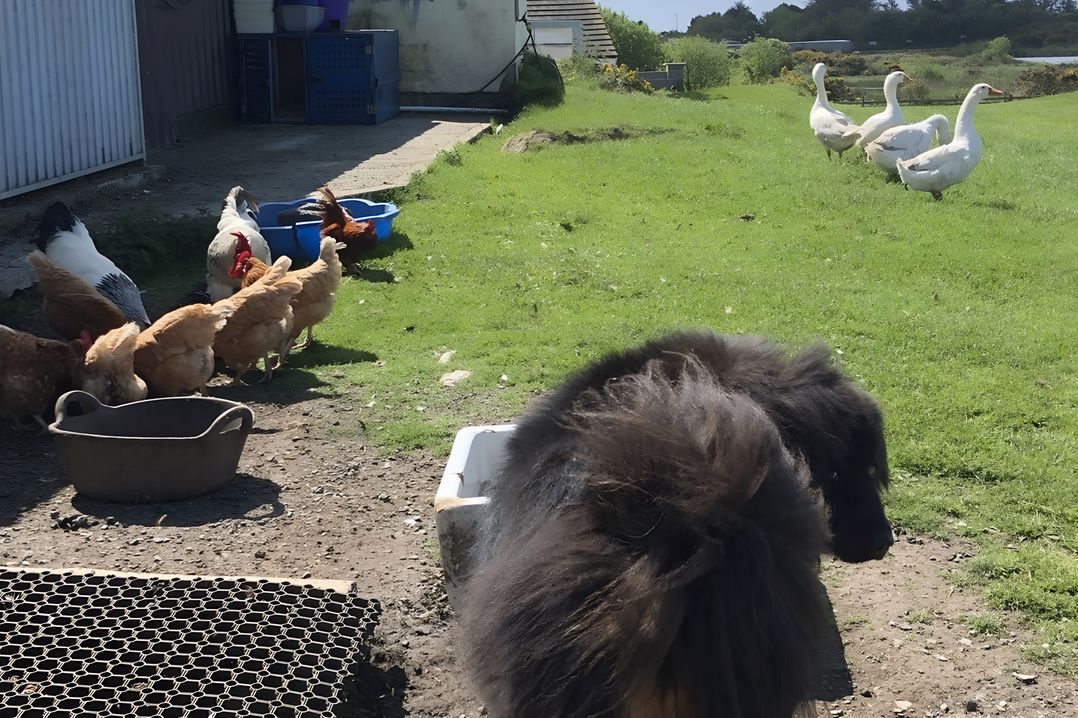 Country Retreat Sleeps 2