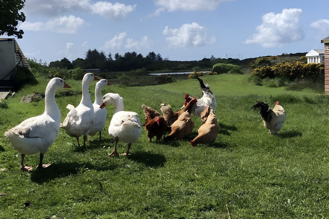 Country Retreat Sleeps 2