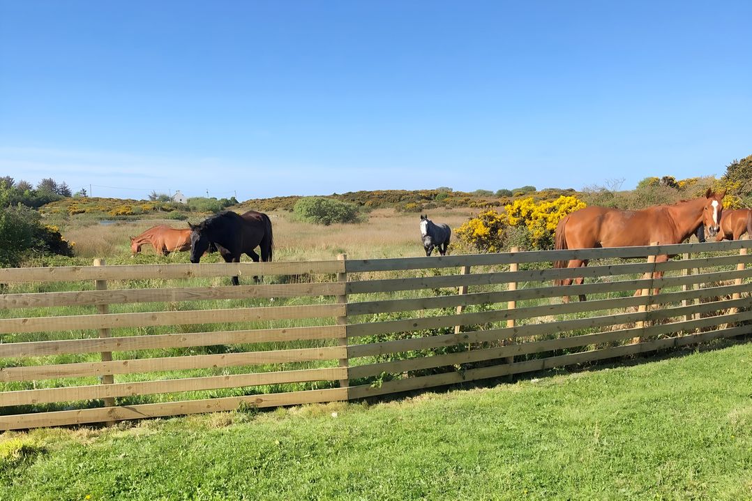 Country Retreat Sleeps 2