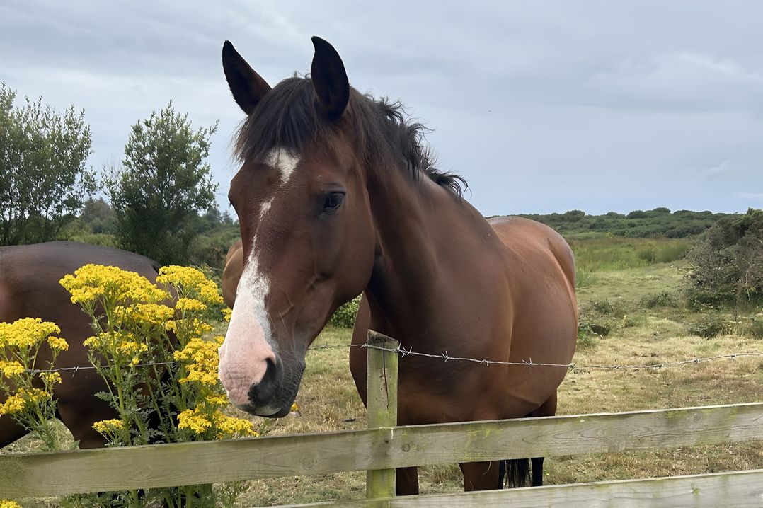 Country Retreat Sleeps 2