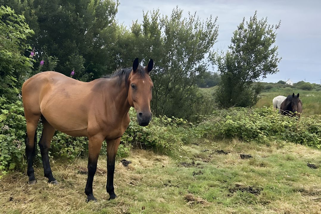 Country Retreat Sleeps 2