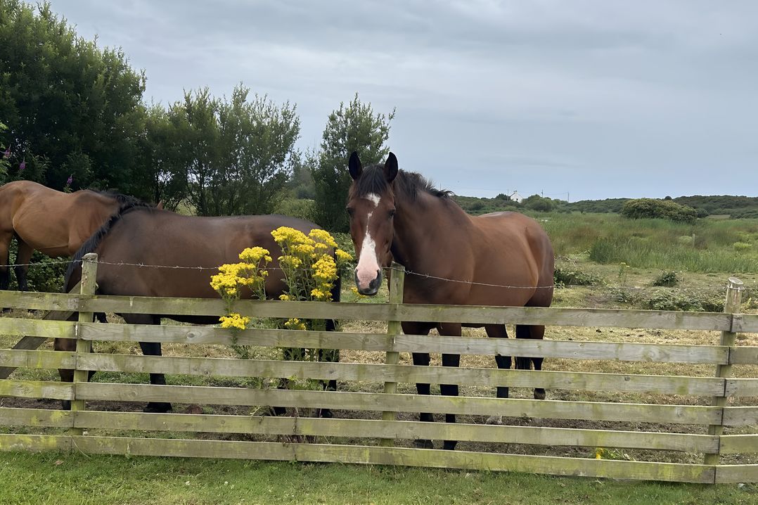 Country Retreat Sleeps 2