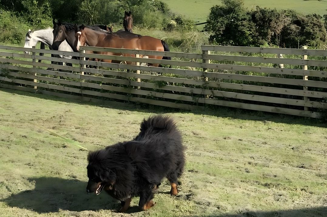 Country Retreat Sleeps 2