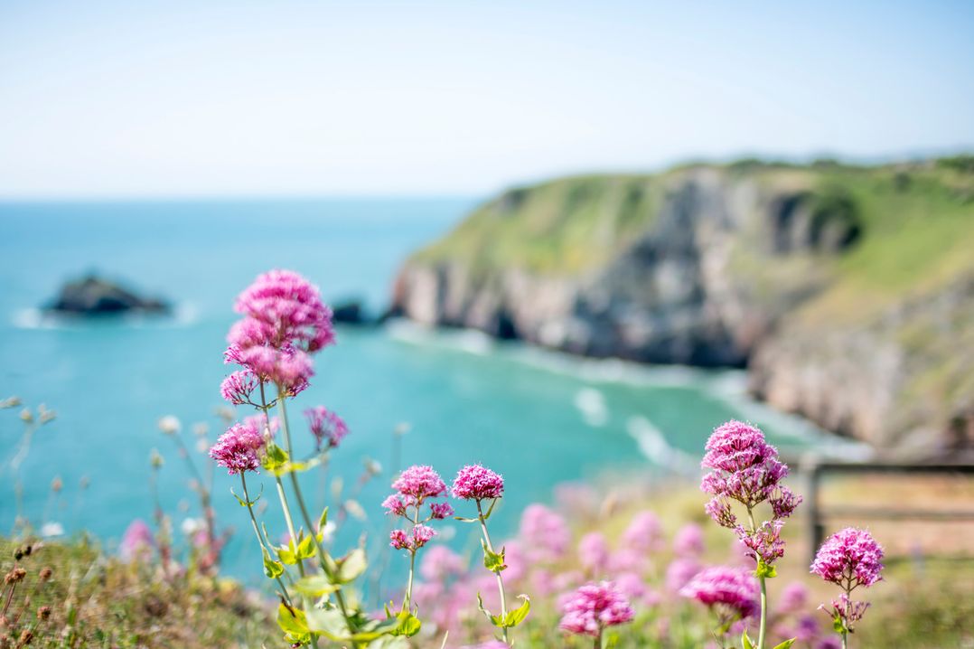 Caravan C31 at Landscove Holiday Park