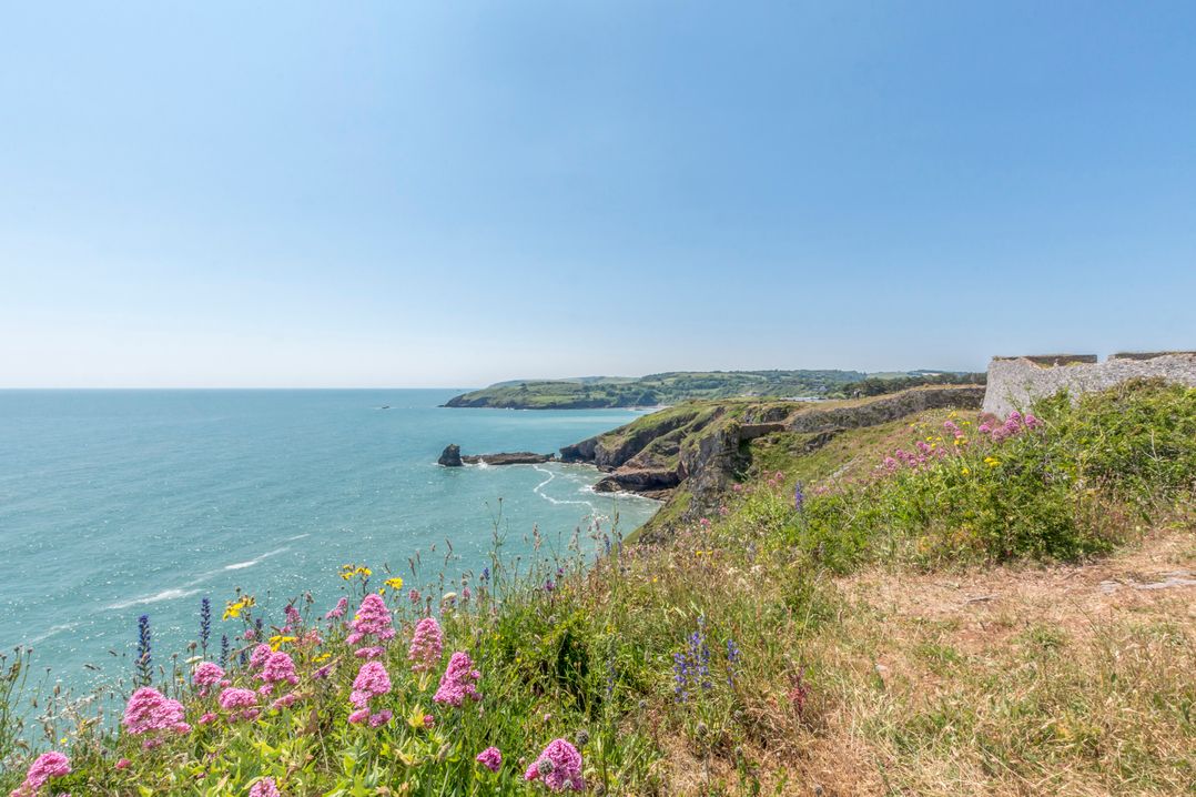 Caravan C31 at Landscove Holiday Park