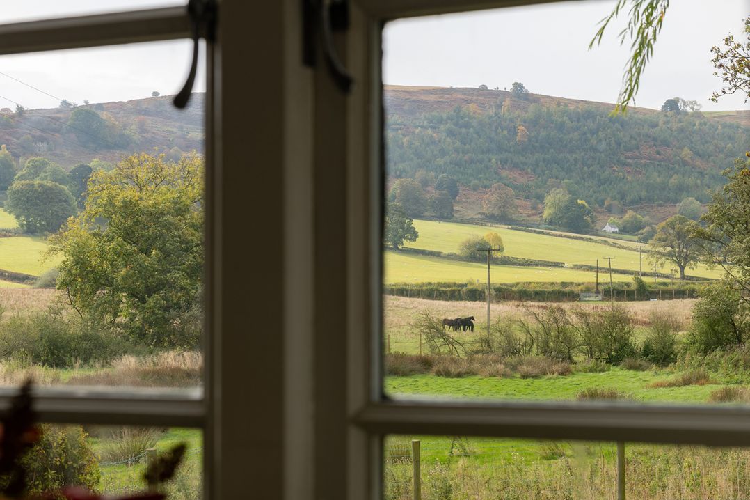 Shepherds Cottage