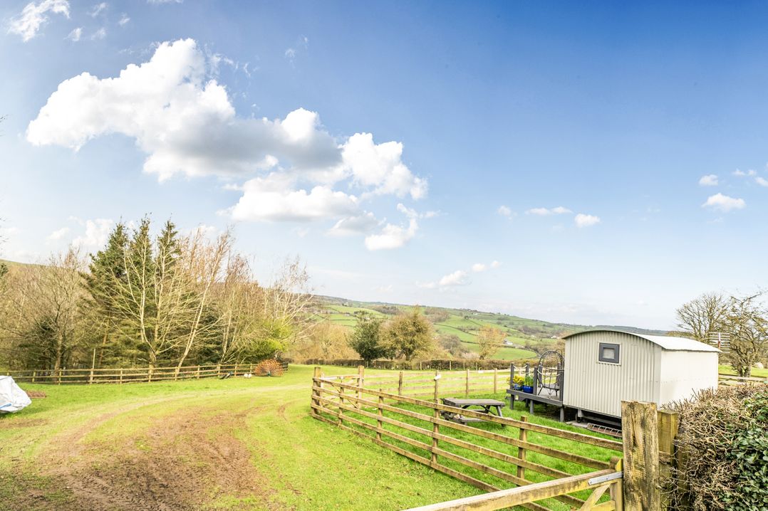 Converted Stone Barn -20 Acres - Farm Animals!