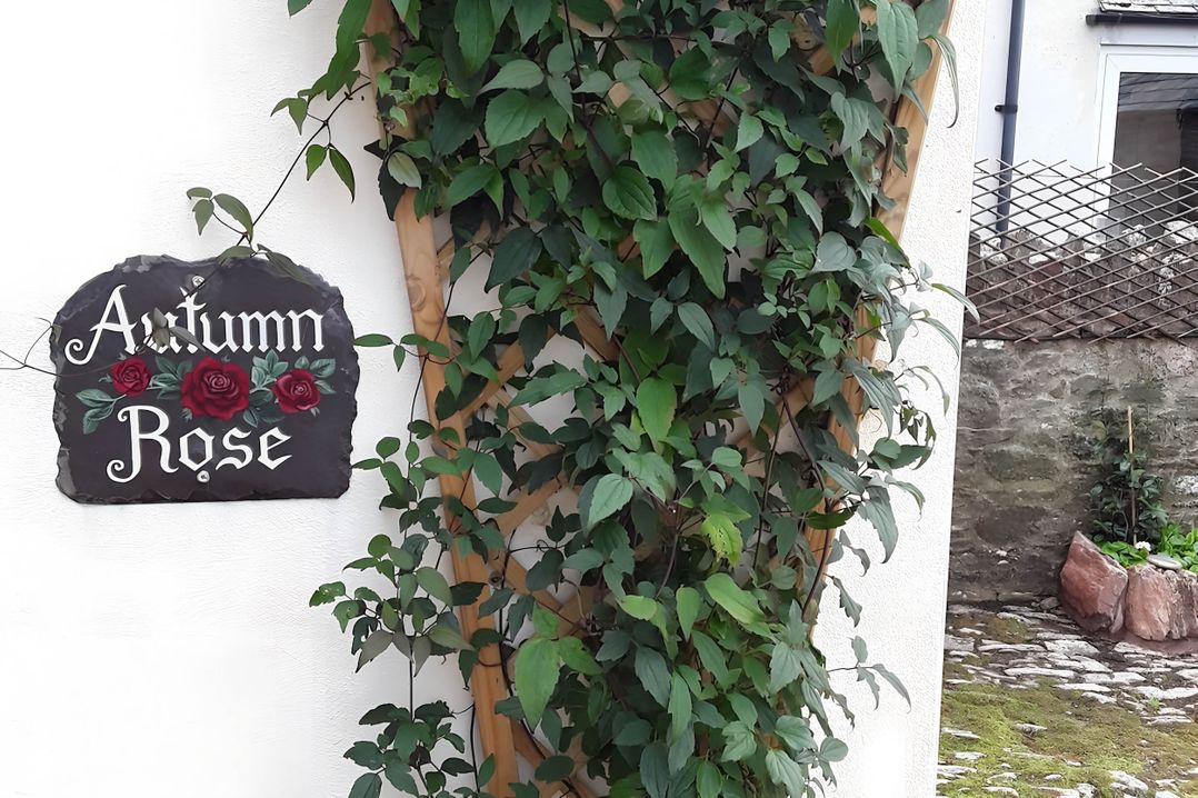 Quiet cottage on the rural edge of Brixham