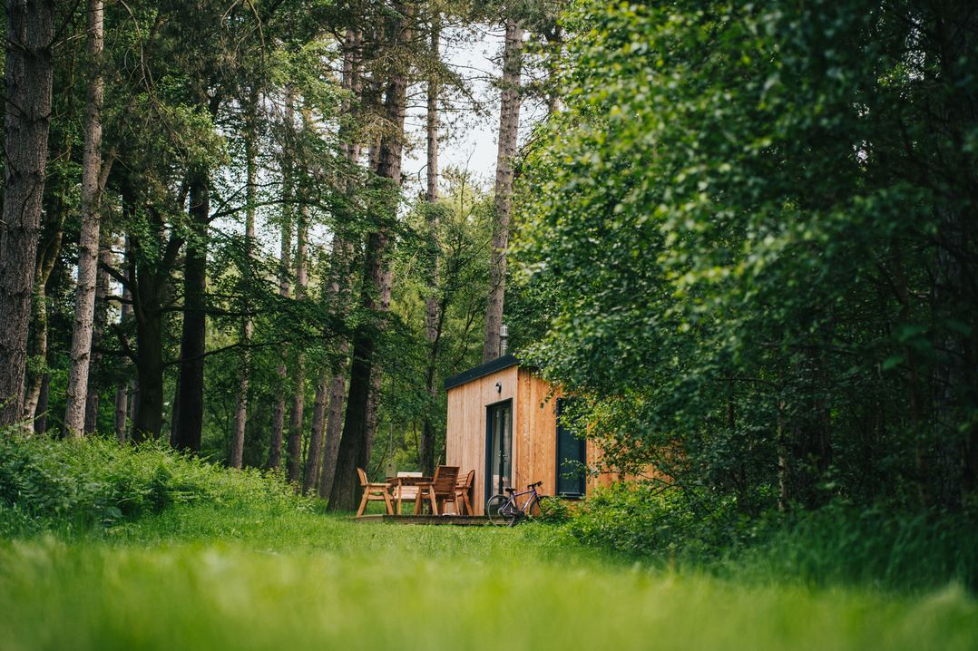 Sherwood Pines - Cosy Pod 3