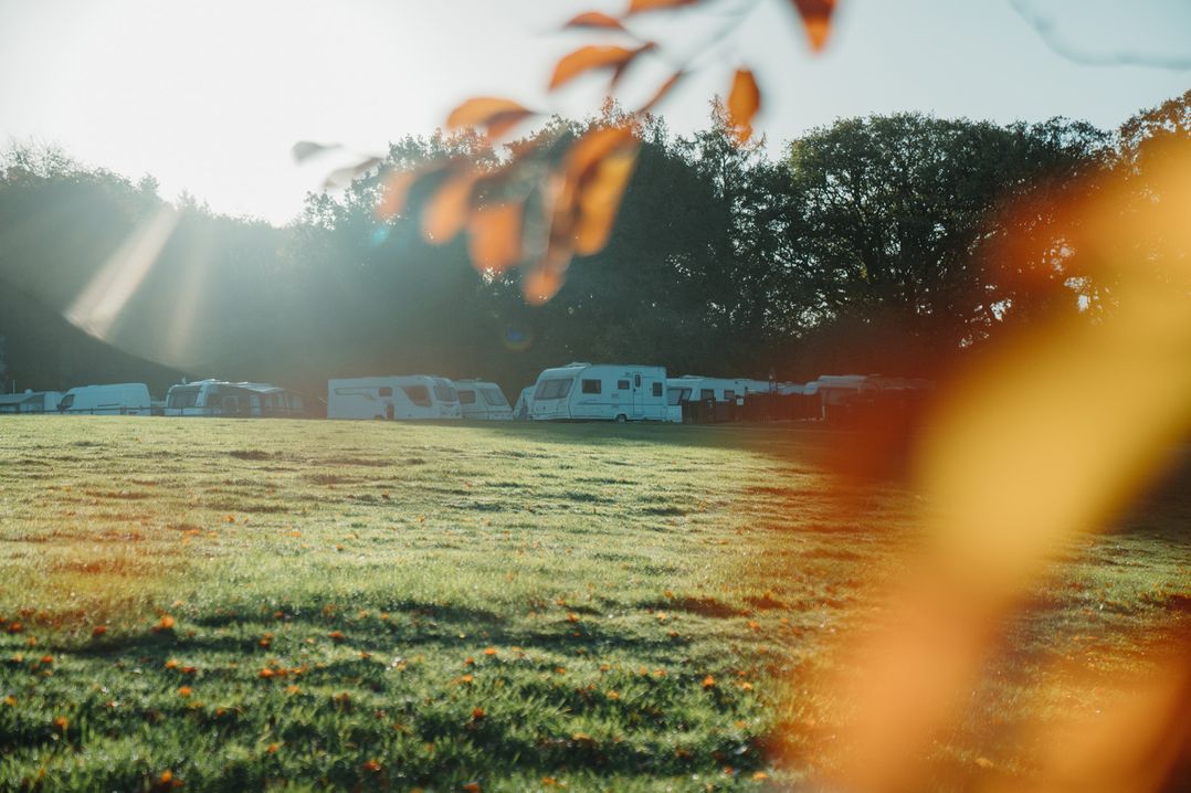 Bracelands - Safari Tent 1