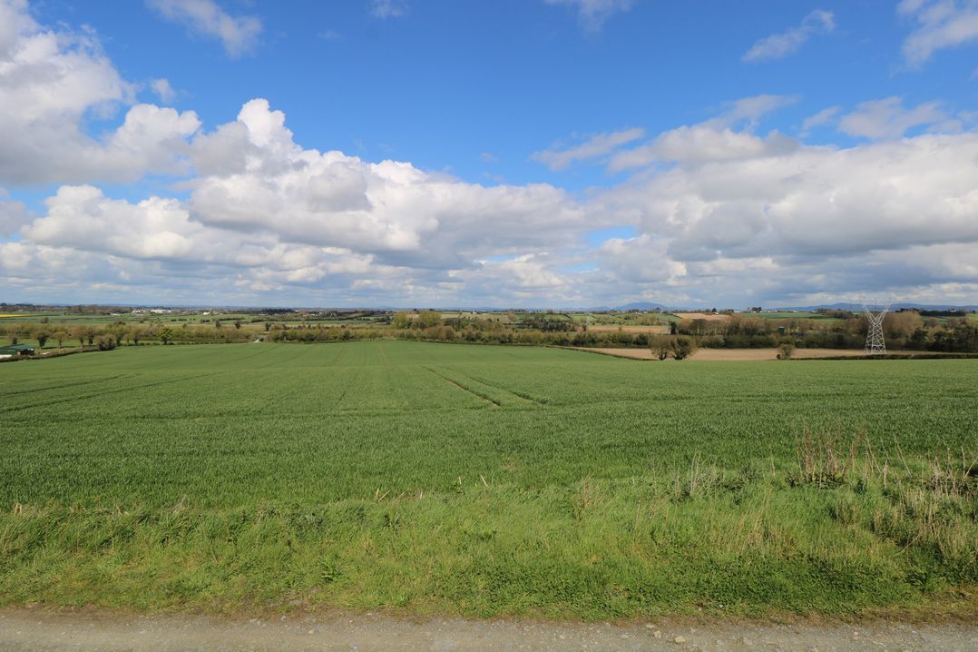 Marie's Country Home