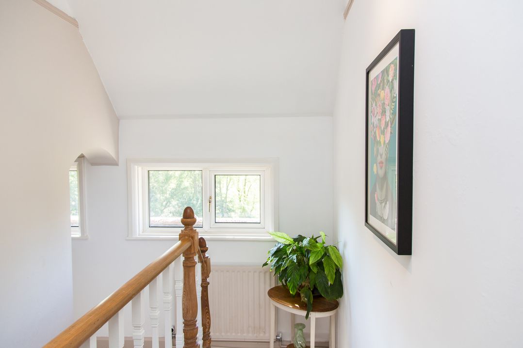 Whitebeams
