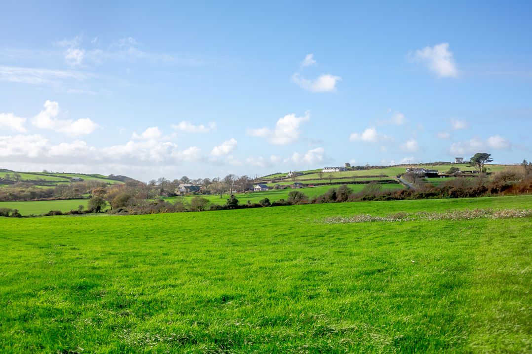 Bwythyn-y-Wennol