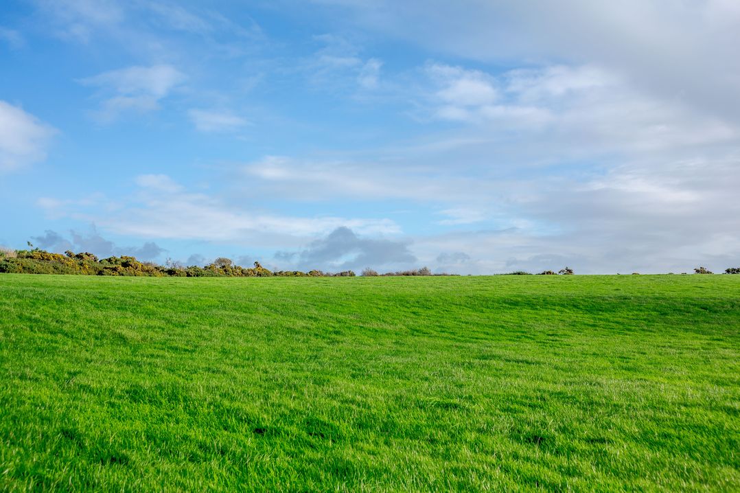 Bwythyn-y-Wennol