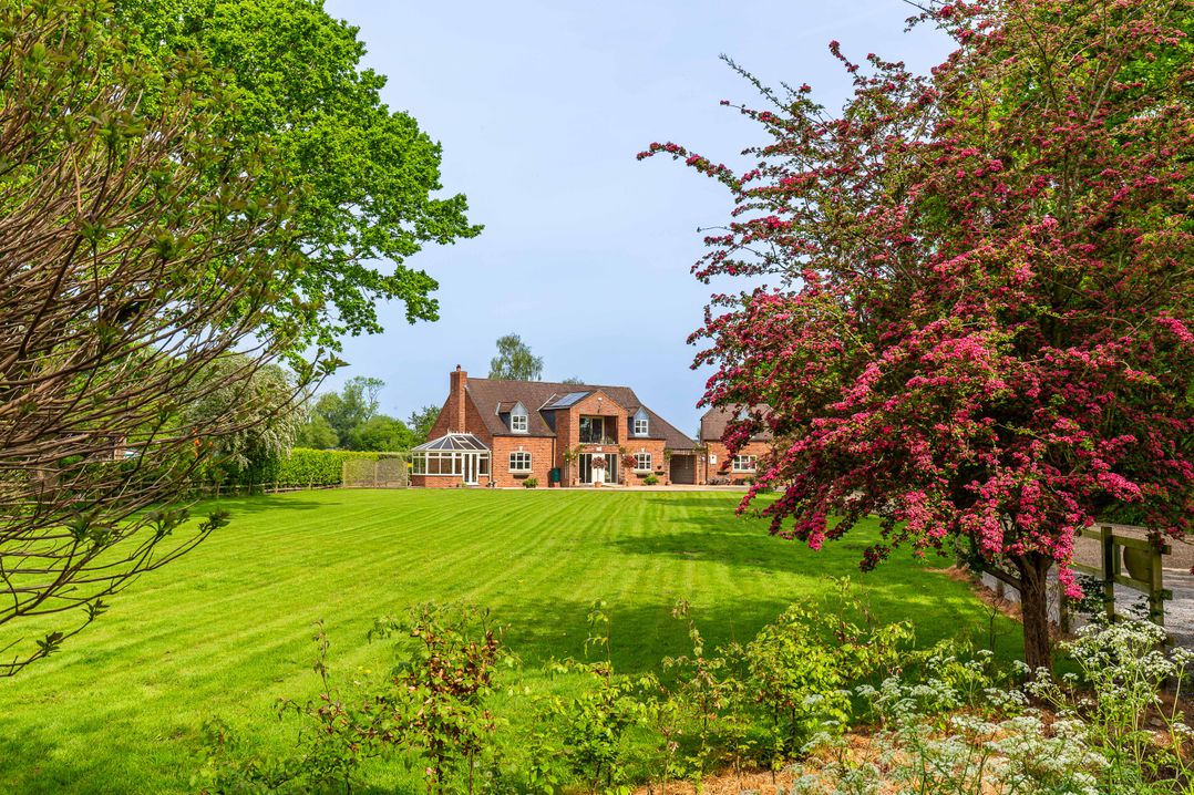 Broadleaf Lodge